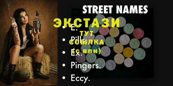 спиды Ельня