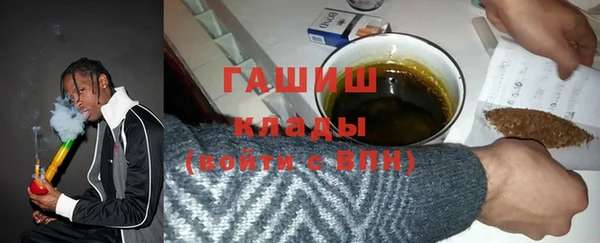 спиды Ельня