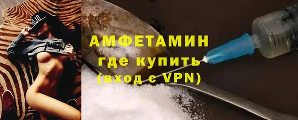 спиды Ельня
