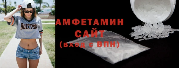 спиды Ельня