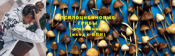 спиды Ельня