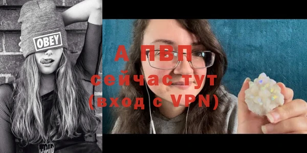 Альфа ПВП Елизово