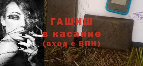 спиды Ельня