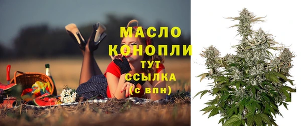 мдпв Дмитров