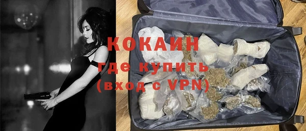 мдпв Дмитров