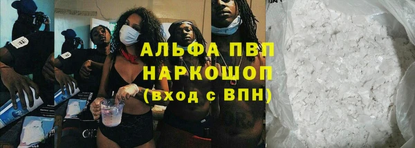 ГАЛЛЮЦИНОГЕННЫЕ ГРИБЫ Янаул