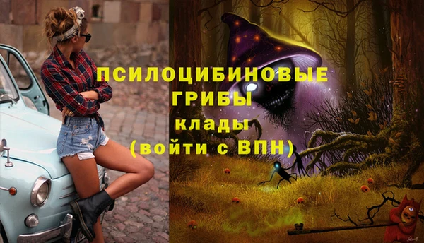 спиды Ельня