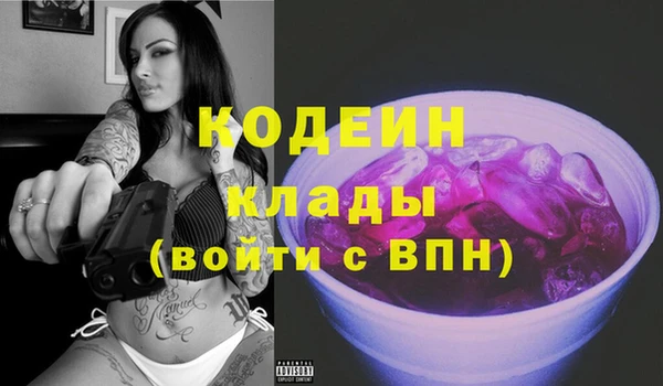 мдпв Дмитров