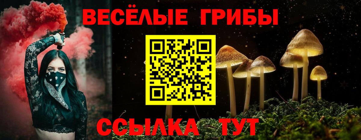 Псилоцибиновые грибы GOLDEN TEACHER  Псилоцибиновые грибы GOLDEN TEACHER  Вязьма  цена наркотик  Вход с VPN 