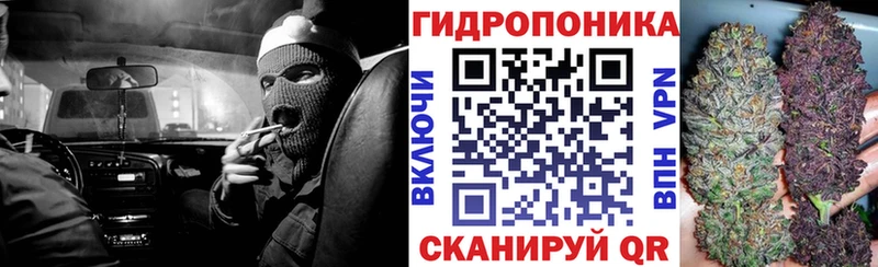 МАРИХУАНА сатива  Вязьма 